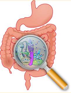 Mikrobiom Therapie Pixabay -160524__340